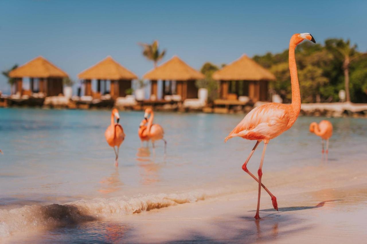 Renaissance Wind Creek Aruba Resort Oranjestad Kültér fotó